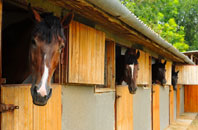 free Maundown stable construction quotes